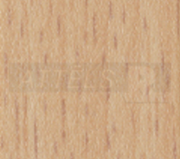 Bavarian Beech