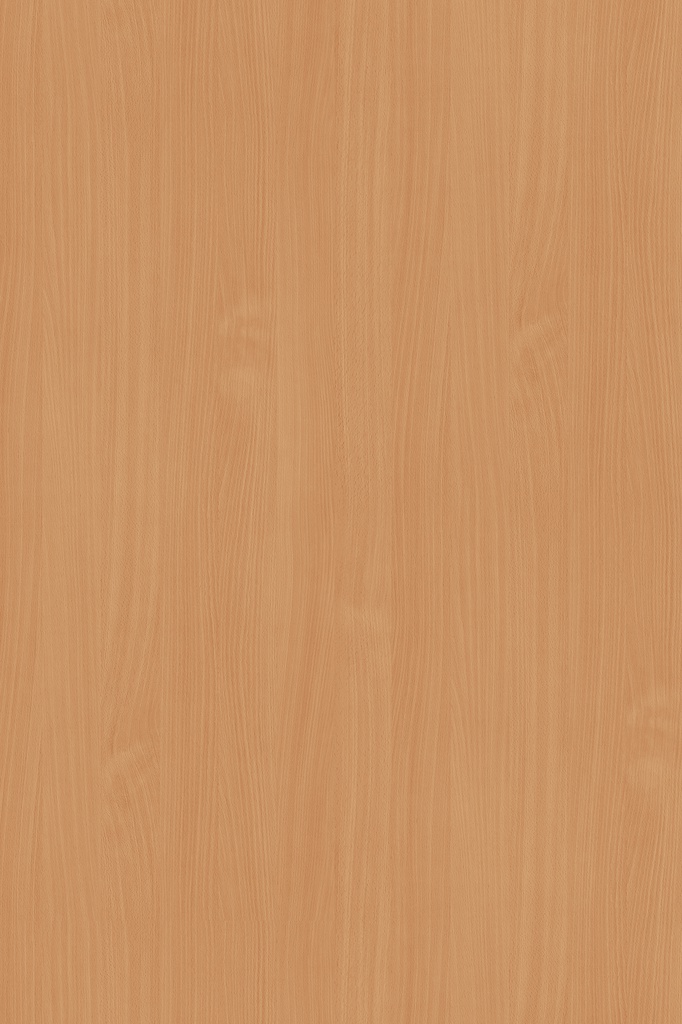 Bavaria Beech