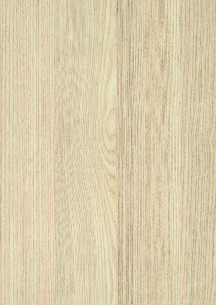 Acacia