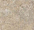 Beige Belmont